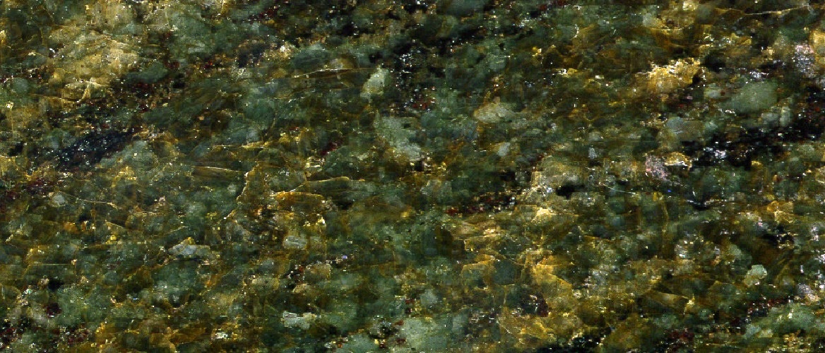 Seaweed Green